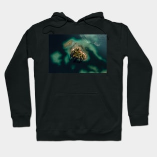 Forest Island in a shallow Lake Hoodie